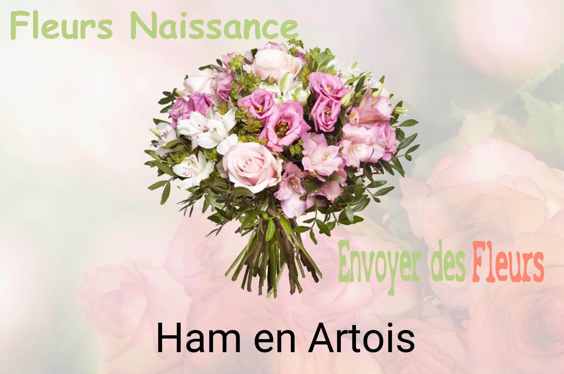 Bouquet de fleurs de naissance livré à Ham-en-Artois